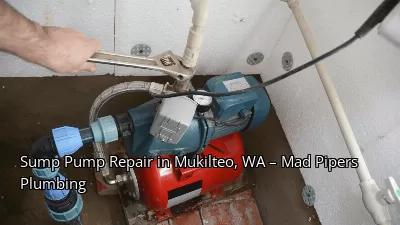 Sump Pump Repair in Mukilteo, WA – Mad Pipers Plumbing Sump Pump Repair in Mukilteo, WA – Mad Pipers Plumbing