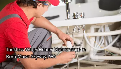 Tankless Water Heater Maintenance in Bryn-Mawr-Skyway, WA Tankless Water Heater Maintenance in Bryn-Mawr-Skyway, WA