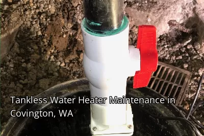 Tankless Water Heater Maintenance in Covington, WA Tankless Water Heater Maintenance in Covington, WA