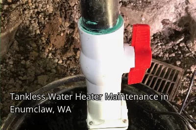 Tankless Water Heater Maintenance in Enumclaw, WA Tankless Water Heater Maintenance in Enumclaw, WA