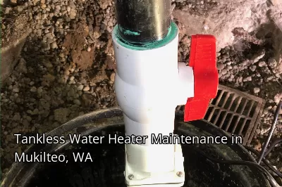Tankless Water Heater Maintenance in Mukilteo, WA Tankless Water Heater Maintenance in Mukilteo, WA