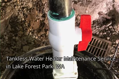 Tankless Water Heater Maintenance Service in Lake Forest Park, WA Tankless Water Heater Maintenance Service in Lake Forest Park, WA