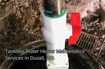 Tankless Water Heater Maintenance Services in Duvall, WA Tankless Water Heater Maintenance Services in Duvall, WA