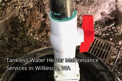 Tankless Water Heater Maintenance Services in Wilkeson, WA Tankless Water Heater Maintenance Services in Wilkeson, WA