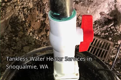 Tankless Water Heater Services in Snoqualmie, WA Tankless Water Heater Services in Snoqualmie, WA