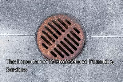 The Importance of Professional Plumbing Services The Importance of Professional Plumbing Services