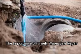 The Importance of Timely Water Line Repair The Importance of Timely Water Line Repair