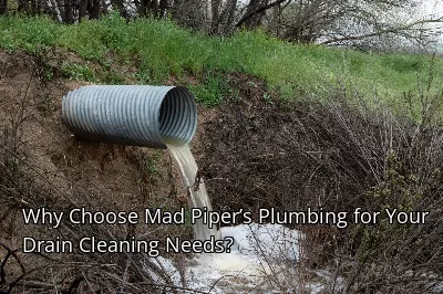 Why Choose Mad Piper’s Plumbing for Your Drain Cleaning Needs? Why Choose Mad Piper’s Plumbing for Your Drain Cleaning Needs?