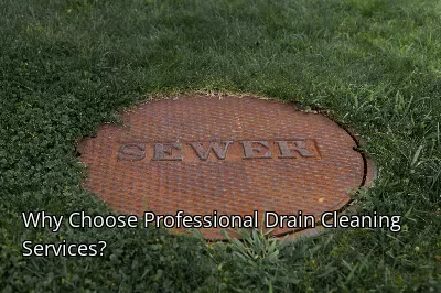 Why Choose Professional Drain Cleaning Services? Why Choose Professional Drain Cleaning Services?