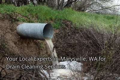 Your Local Experts in Marysville, WA for Drain Cleaning Services