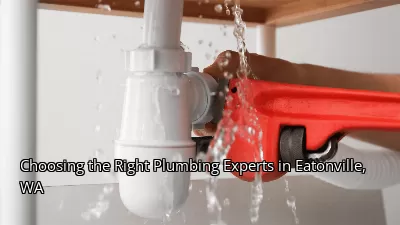 Choosing the Right Plumbing Experts in Eatonville, WA Choosing the Right Plumbing Experts in Eatonville, WA