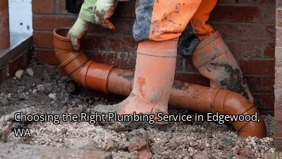 Choosing the Right Plumbing Service in Edgewood, WA