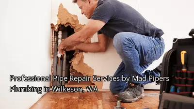 Professional Pipe Repair Services by Mad Pipers Plumbing in Wilkeson, WA