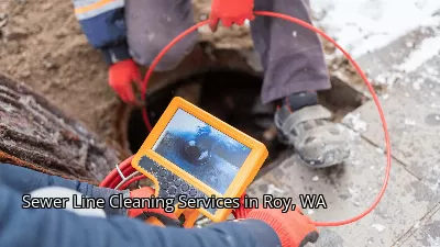 Sewer Line Cleaning Services in Roy, WA